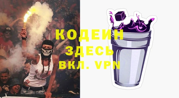 мдпв Гусев