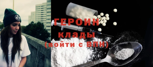 мдпв Гусев