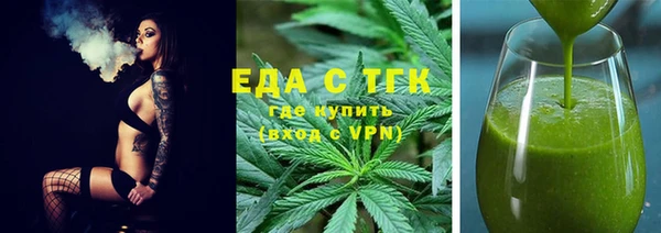 мдпв Гусев