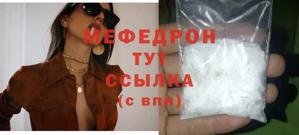 мдпв Гусев