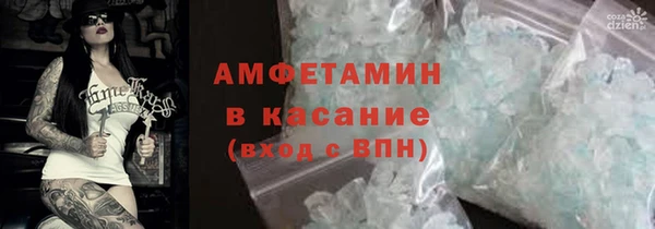 мдпв Гусев