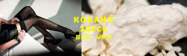 мдпв Гусев