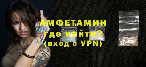 ГАЛЛЮЦИНОГЕННЫЕ ГРИБЫ Дмитриев