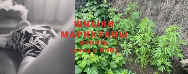 мдпв Гусев