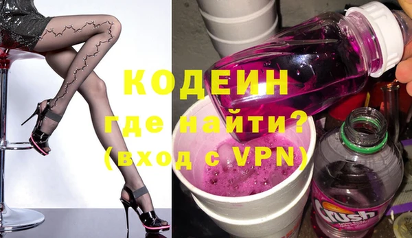 ГАЛЛЮЦИНОГЕННЫЕ ГРИБЫ Дмитриев