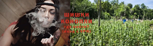 МДПВ Дмитров