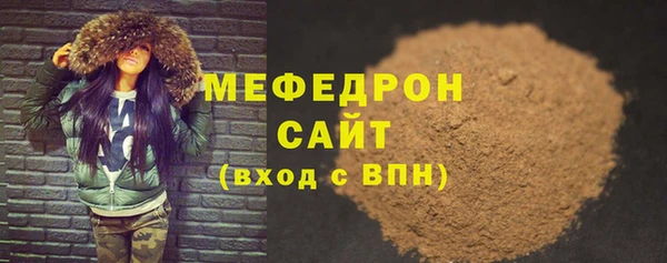 мдпв Гусев