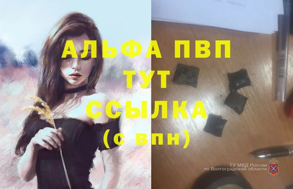 ECSTASY Бабаево