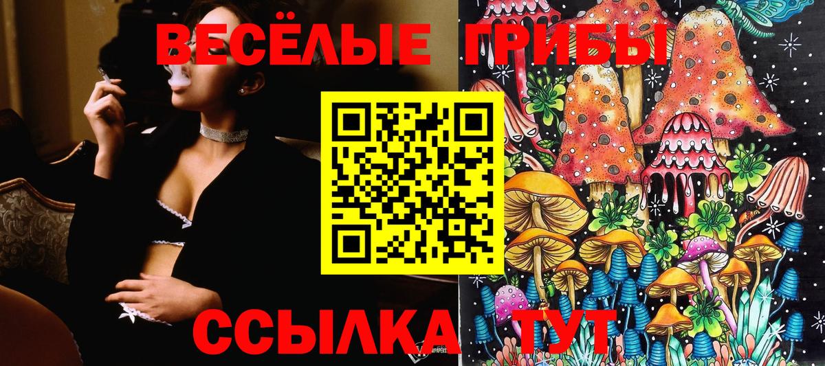 Псилоцибиновые грибы ЛСД  Вход с VPN  Донецк  Псилоцибиновые грибы мухоморы 